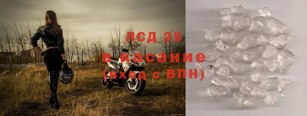 сатива Липки
