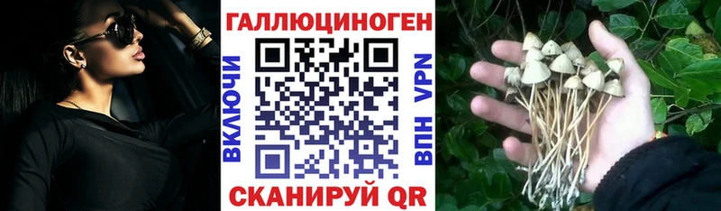 Галлюциногенные грибы прущие грибы  Ершов 